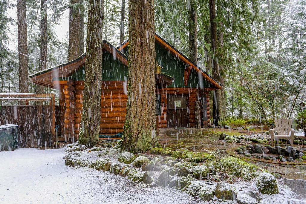 Zoe'S Log Cabin Welches Dış mekan fotoğraf